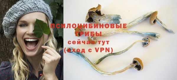 соль ск Ладушкин
