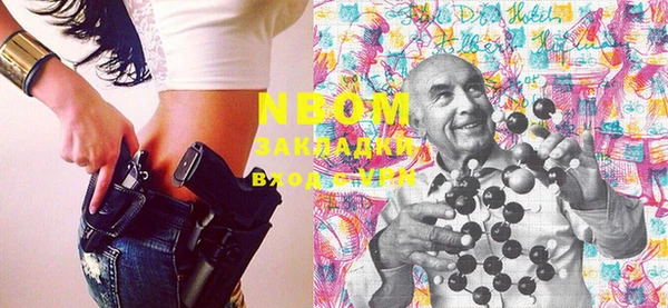 шишки Лабытнанги