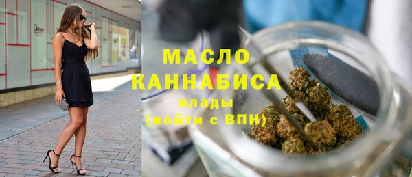 шишки Лабытнанги