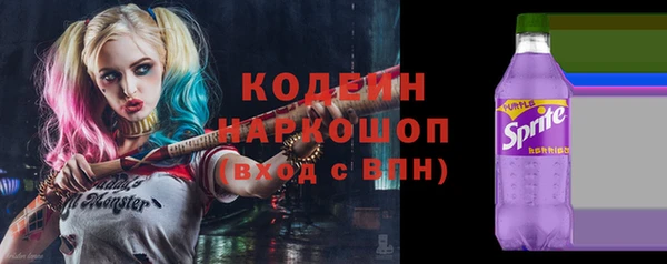 шишки Лабытнанги