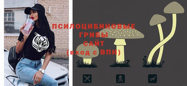 соль ск Ладушкин