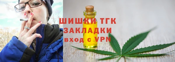 соль ск Ладушкин