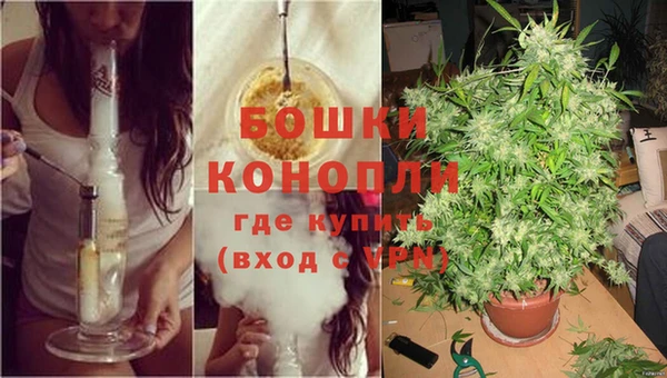 соль ск Ладушкин
