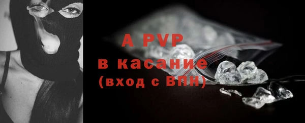 шишки Лабытнанги