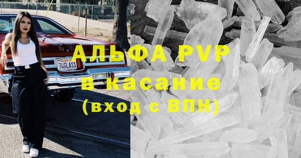 шишки Лабытнанги