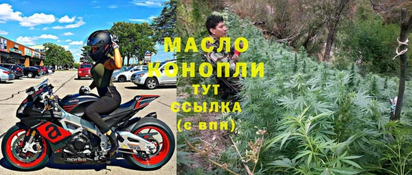 шишки Лабытнанги