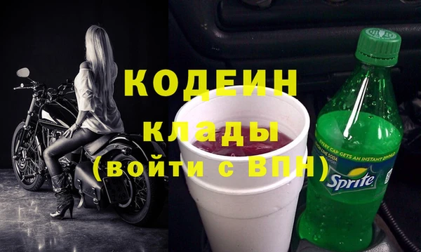 шишки Лабытнанги