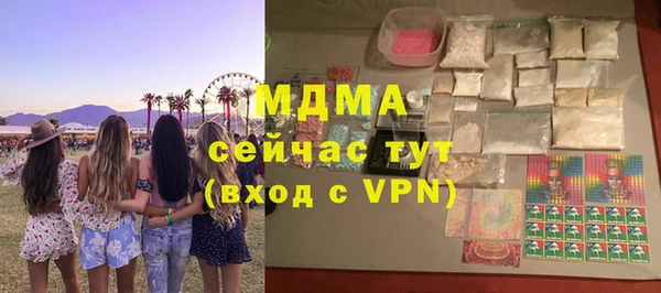 шишки Лабытнанги