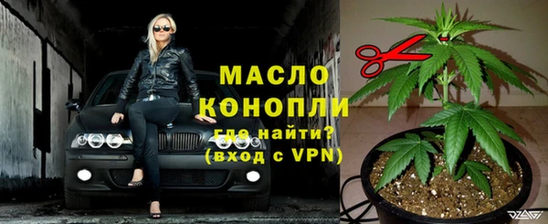 шишки Лабытнанги