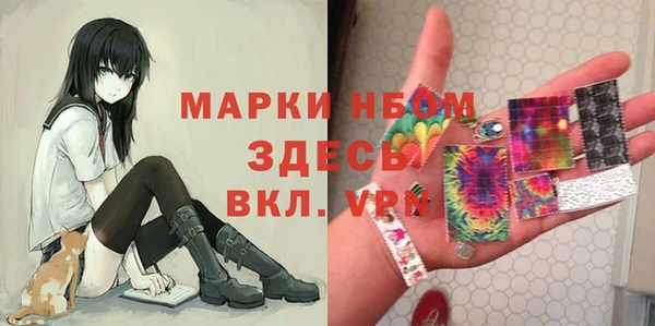 шишки Лабытнанги