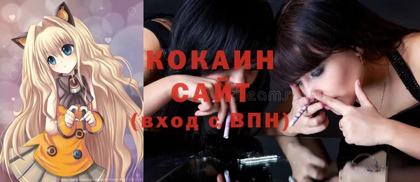 шишки Лабытнанги