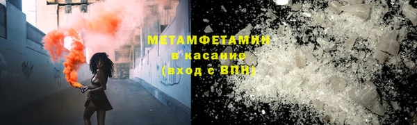 шишки Лабытнанги