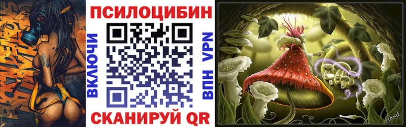 Галлюциногенные грибы Cubensis  Купить закладки  Новокубанск 