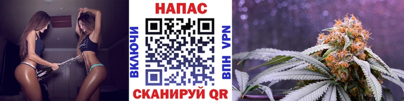 МАРИХУАНА гибрид  Купить где  Новокубанск 